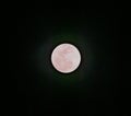 Full moon before the Lunar Moon Eclipse November 19 2021 Royalty Free Stock Photo