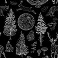 Full moon magic seamless pattern. Spruce, fir tree, mushroom, fox, hare, deer, leaves, crystals. Hand drawn vintage Royalty Free Stock Photo