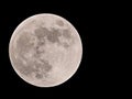 Full moon of march Royalty Free Stock Photo