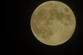 Full moon. moon close up Royalty Free Stock Photo