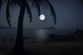 Full moon night over the sea and beach Royalty Free Stock Photo