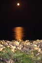 Full moon night sea view Royalty Free Stock Photo