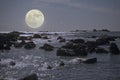 Full moon night seascape Royalty Free Stock Photo