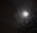 Full moon in night sky with clouds and silhouette of trees. Royalty Free Stock Photo