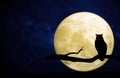 Full moon in the night sky Royalty Free Stock Photo