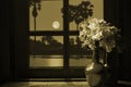 Full moon night in the window with flower vase