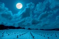 A full moon night in a wintry wine field in Spain with snow.