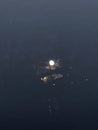 Full moon a November night in Norway at the west coast Royalty Free Stock Photo
