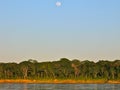 Full Moon Over the Amazon
