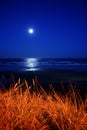 Full moon over Newport Beach Royalty Free Stock Photo