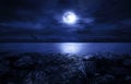 Full moon over the ocean Royalty Free Stock Photo