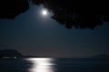 Full moon over the ocean shining through pine needles Royalty Free Stock Photo