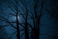 Full moon over quiet village at night. Beautiful night landscape of old town street with lights Royalty Free Stock Photo