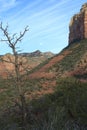 Full moon over red rocks Royalty Free Stock Photo