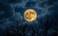 Full Moon Over Silhouetted Trees Royalty Free Stock Photo