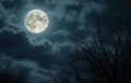 Full Moon Over Silhouetted Trees Royalty Free Stock Photo