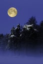 Full moon over snowy trees