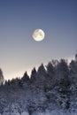 full moon, over snowy winter forest at night Royalty Free Stock Photo