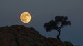 Full moon over solitary tree on a rocky hill Royalty Free Stock Photo