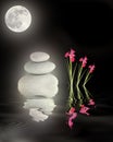 Full Moon Over Zen Garden