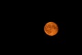 The full moon is red with an airplane flying in front of it. Supermoon. Royalty Free Stock Photo