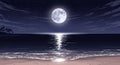 Full Moon Reflecting on Ocean Waves at Night with Sandy Beach Royalty Free Stock Photo