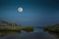 Full Moon Mangroves & Palm Trees Royalty Free Stock Photo