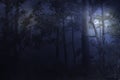 Full moon rises over a forest on a misty night Royalty Free Stock Photo
