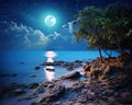 The full moon rises over the sea. Royalty Free Stock Photo