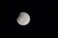 Full moon rising above horizon. Distant tree line along slope of the bill is seen. Bright white moon with dark background