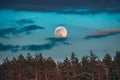 Full Moon Rising Above Pine Forest Landscape In Belarus Or European Part Of Russia During Sunset Time Of Summer Evening Royalty Free Stock Photo