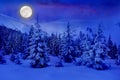 Full Moon rising above the winter fir forest covered of snow in mountains. Christmas night. Landscape winter Royalty Free Stock Photo