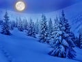 Full Moon rising above the winter fir forest covered of snow in mountains. Christmas night. Landscape winter