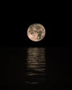 Full Moon Rising Over Calm Sea with reflection on water, Vertical Royalty Free Stock Photo