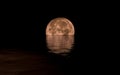 Full Moon Rising Over Calm Sea Royalty Free Stock Photo