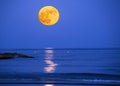 Full moon rising over the empty ocean at night with room for copy Royalty Free Stock Photo