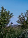 Full moon rising over the mountain peaks and trees