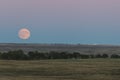 A full moon rising over a North Dakota grain field Royalty Free Stock Photo