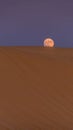 The full moon rising over the sandy dune during the evening in Sahara desert. Royalty Free Stock Photo