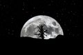 Full moon rising silhouette tree stars Royalty Free Stock Photo
