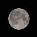 Full moon Royalty Free Stock Photo