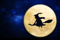 Full moon with a shadow of a witch Royalty Free Stock Photo