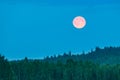 Full moon in summer night landscape Royalty Free Stock Photo