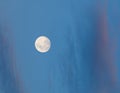 The full moon is shining brilliantly at night. Royalty Free Stock Photo