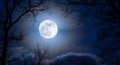 Full Moon Shining Through Silhouetted Tree Branches Royalty Free Stock Photo