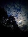 Full Moon Shinning Through the Clouds Framed By Trees
