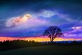 Full moon and silhouette of tree on colorful night sky. Royalty Free Stock Photo