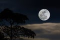 Full moon in sky. Royalty Free Stock Photo