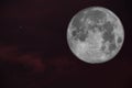 Full moon in the sky Royalty Free Stock Photo
