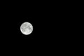 Full moon. Sturgeon moon isolated on natural black night sky